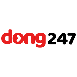 dong247