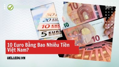 10 Euro Bằng Bao Nhiêu Tiền Việt Nam