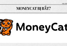 Moneycat bị bắt