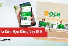 Tra Cứu Hợp Đồng Vay OCB