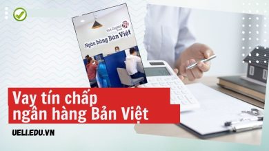 Vay tín chấp ngân hàng Bản Việt